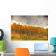 Poplar Forest In Autumn, Teslin, Yukon Wall Mural