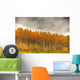 Poplar Forest In Autumn, Teslin, Yukon Wall Mural