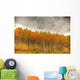 Poplar Forest In Autumn, Teslin, Yukon Wall Mural