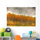 Poplar Forest In Autumn, Teslin, Yukon Wall Mural