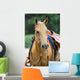 Western Horse