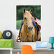 Western Horse
