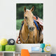 Western Horse