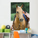 Western Horse
