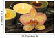Orchid and Vanilla in Spa Therapy Wall Mural