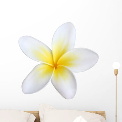 Frangipani Wall Decal shown on a wall