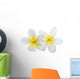 Two Plumeria Frangipanis Wall Decal