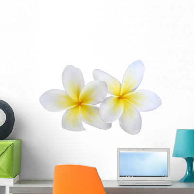 Two Plumeria Frangipanis Wall Decal shown on a wall