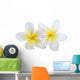 two plumeria frangipanis Wall Decal