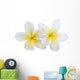 two plumeria frangipanis Wall Decal