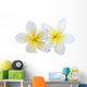 two plumeria frangipanis Wall Decal
