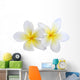 two plumeria frangipanis Wall Decal