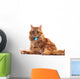 Portrait of Orange Cat Wall Decal