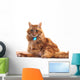 Portrait of Orange Cat Wall Decal