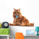 Portrait of Orange Cat Wall Decal