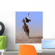 Flying High Wall Mural