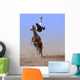 Flying High Wall Mural