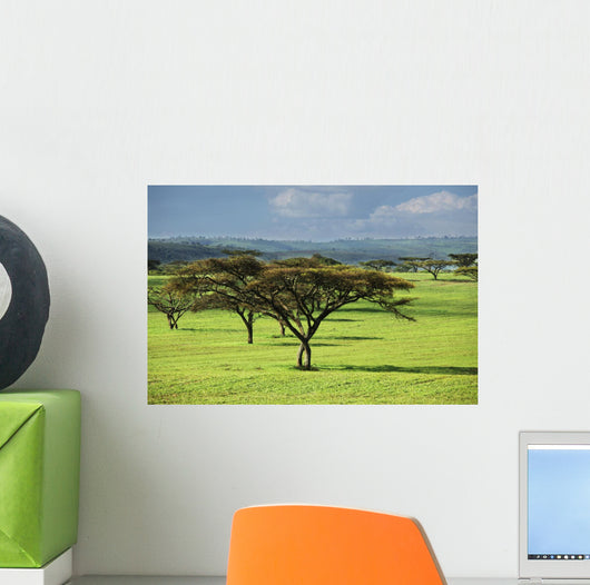 Africa Wall Mural