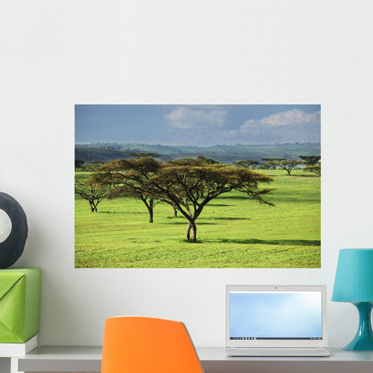 Africa Wall Mural