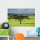 Africa Wall Mural