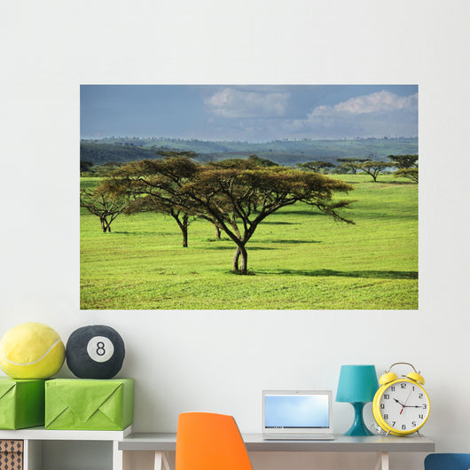 Africa Wall Mural
