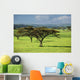 Africa Wall Mural