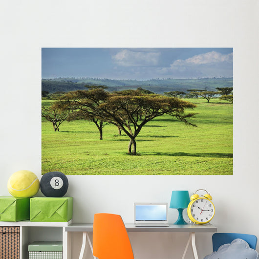 Africa Wall Mural