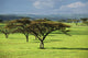 Africa Wall Mural
