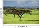 Africa Wall Mural