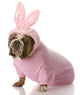 Dog Dressed up as Easter Bunny Wall Decal