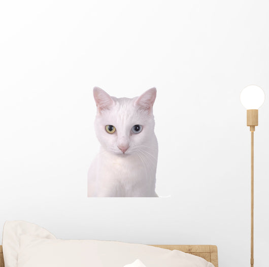 White Wall Decal