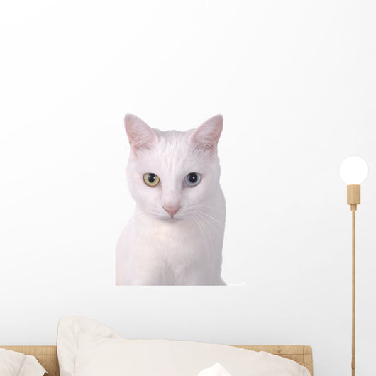 White Wall Decal
