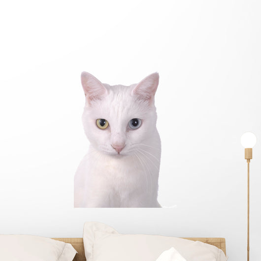 White Wall Decal