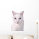 White Wall Decal