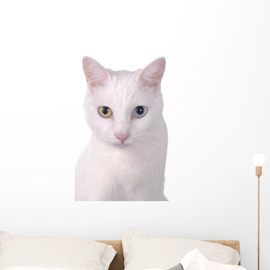 White Wall Decal