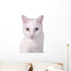 White Wall Decal