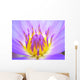 Water Lily Wall Mural