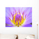 Water Lily Wall Mural