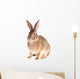Rabbit Wall Decal