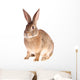 Rabbit Wall Decal