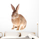 Rabbit Wall Decal