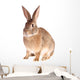 Rabbit Wall Decal