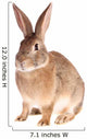 Rabbit Wall Decal