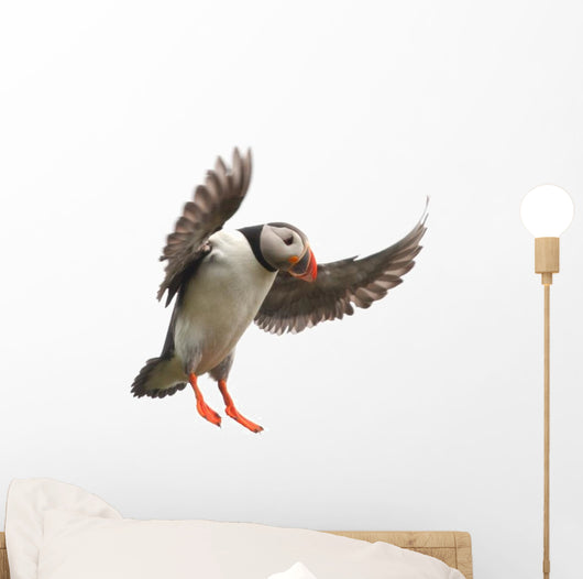 Landing Atlantic Puffin Wall Decal
