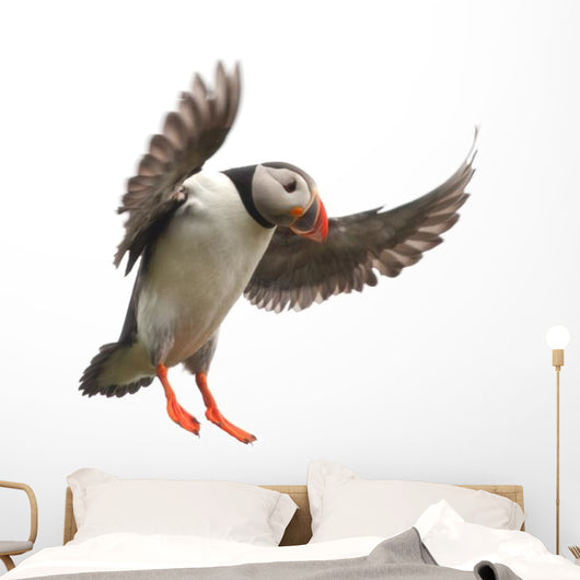 Landing Atlantic Puffin Wall Decal