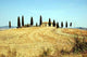 Casale Toscano Wall Decal