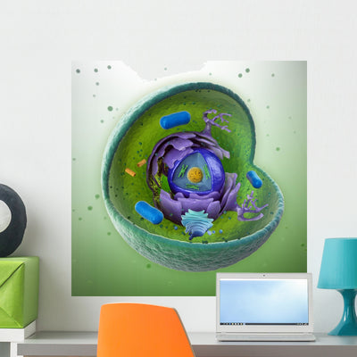Animal Cell Cut-away Wall Mural shown on a wall