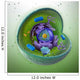 Animal Cell Cut-away Wall Mural