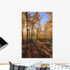 Sugar Maple Trees In Fall Wall Mural
