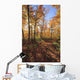 Sugar Maple Trees In Fall Wall Mural